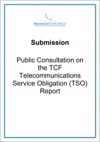 Submission Public Consultation on the TCF TSO Report1